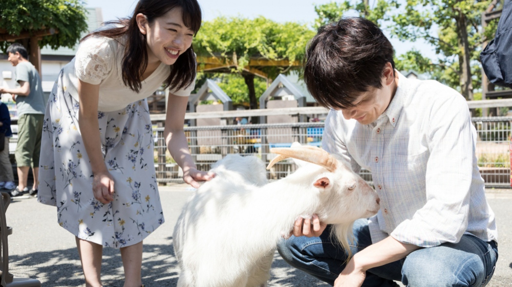 動物園デートで相手の本性が見える 元動物園飼育員が語る判断ポイントが秀逸 ツイナビ