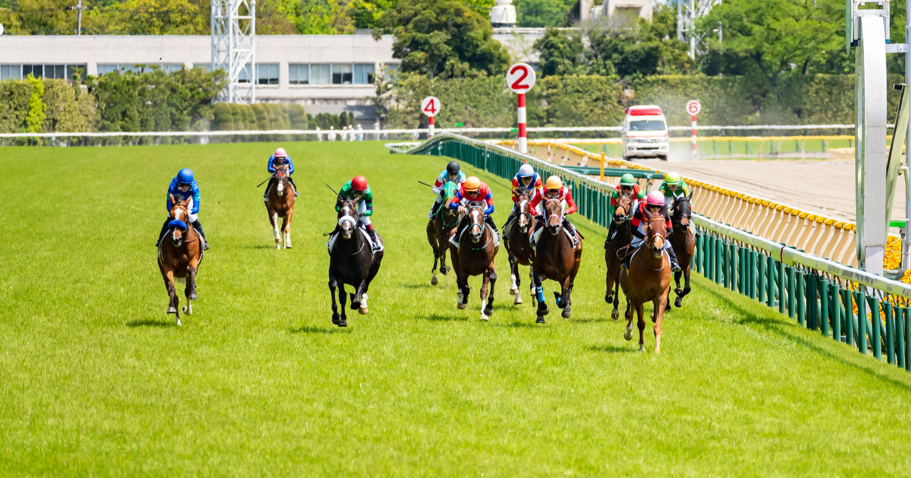 アニメ ウマ娘 スペシャルウィークやトウカイテイオーがいる チームスピカ 考察 ツイナビ アニメ ウマ娘 スペシャルウィークやトウカイテイオーがいる チームスピカ 考察 ツイナビ